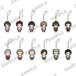 Haikyu!! Karasuno High School Vs Shiratorizawa Academy Petit Bit Strap Collection
